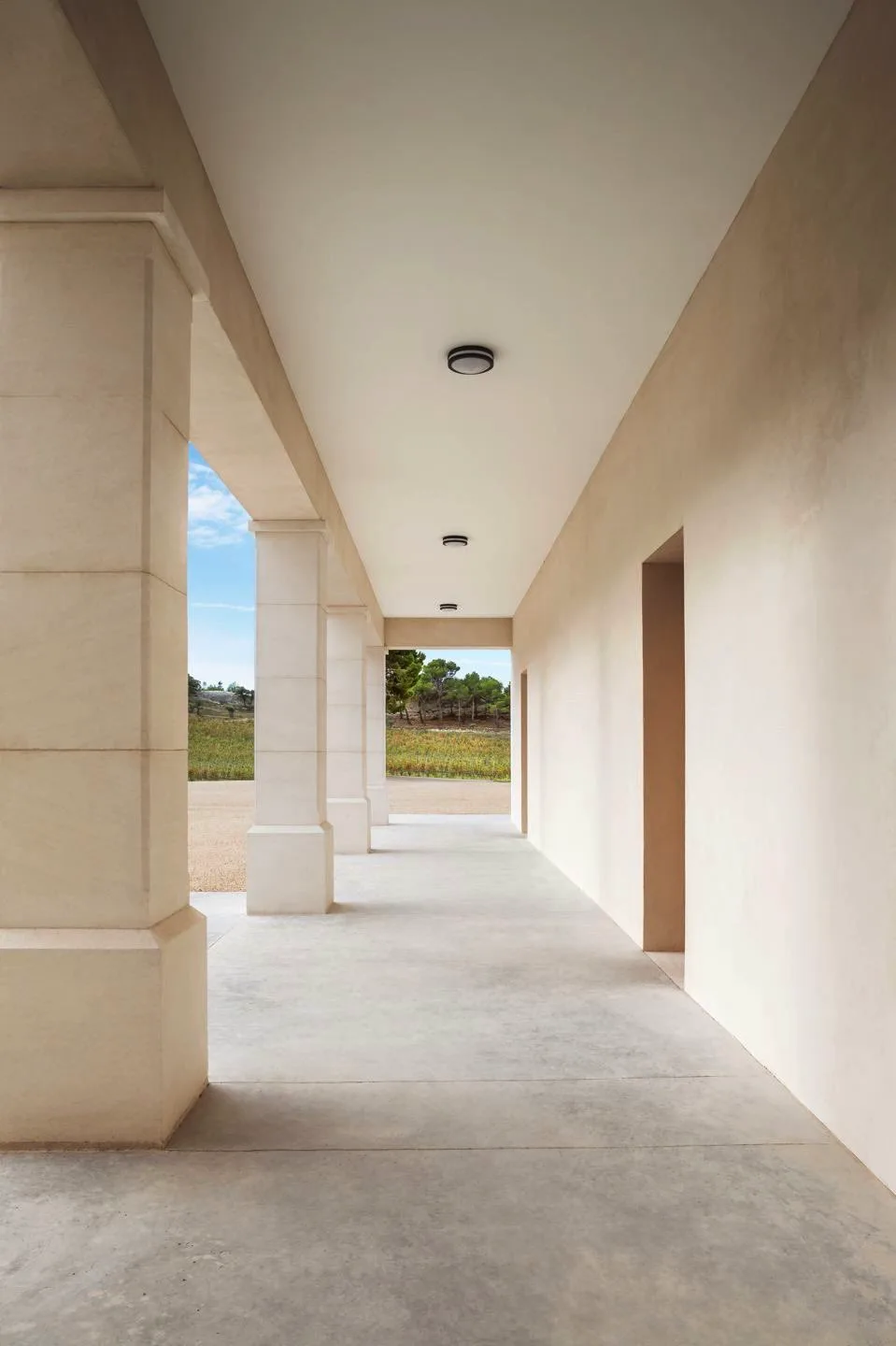 Construction des chais du Domaine de Lauzières — Mouriès (13) (photo 2)